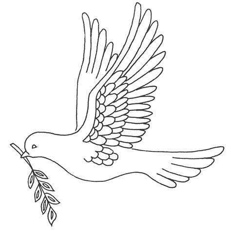 Dove Outline Drawing at GetDrawings | Free download