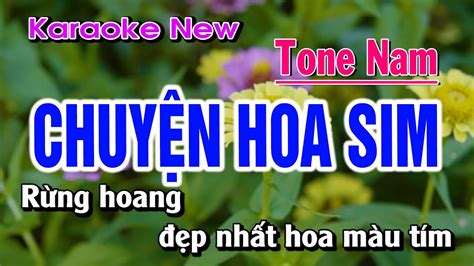 Karaoke Chuy N Hoa Sim Tone Nam Tone V A D H T Youtube