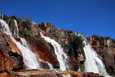 The Biodiversity Hotspot of the Cerrado - WorldAtlas