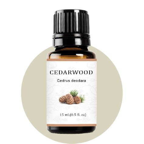 Cedarwood Essential Oil Cedarwood Oil Cedarwood Oil Uses