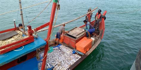 KAL Bireuen I 1 70 TNI AL Lhokseumawe Tangkap 2 Kapal Trawl Di Aceh