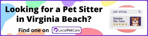 Best Dog-Friendly Restaurants in Virginia Beach | Local Pet Care