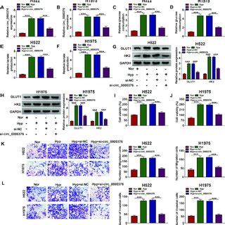 Circ Knockdown Repressed Nsclc Tumor Growth In Vivo H Cells