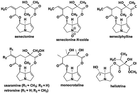 Structural Formulae Of Some Pyrrolizidine Alkaloids Illustrating The Download Scientific