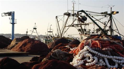 Los Pescadores Andaluces Ven Insuficientes Las Medidas De Planas Y