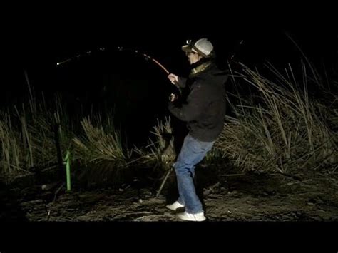 Night Fishing For River Flathead Catfish Using Cutbait YouTube