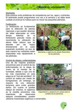 Manual De Reforestacion Pdf Descarga Gratuita