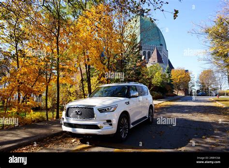 The Full Size Luxury SUV Infiniti QX80 Stock Photo Alamy