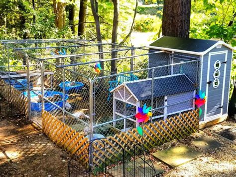 DIY Duck Enclosure Ideas: Easy and Fun Builds for Your Feathered Friends