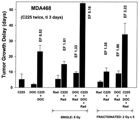 C225 Antiepidermal Growth Factor Receptor Antibody Enhances The