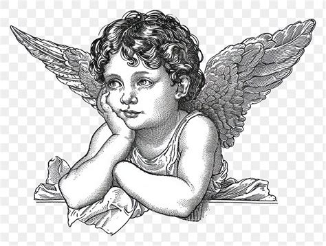 PNG Cherub drawing sketch angel. | Premium PNG - rawpixel