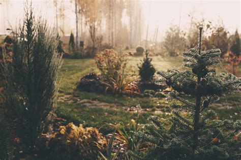 Late Season Tips To Help Your Garden Rest Through The Winter Terra