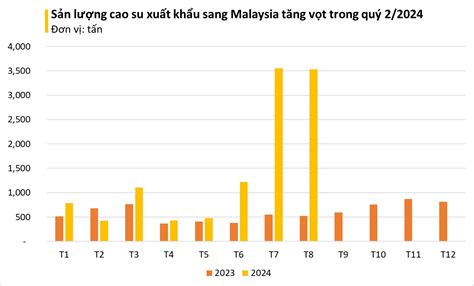 Cao su Việt Nam được Malaysia đổ tiền thu mua hàng nghìn tấn Xuất khẩu