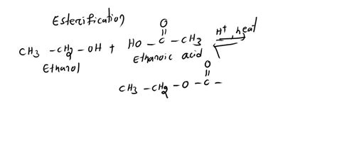 Solved Using What You Have Learned About Esterification Reactions In