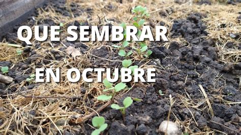 QUE SEMBRAR EN OCTUBRE Calendario De Siembra Hemisferios SUR Y