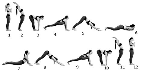 Suryanamaskara The 12 Step Sun Salutation Atma Yoga