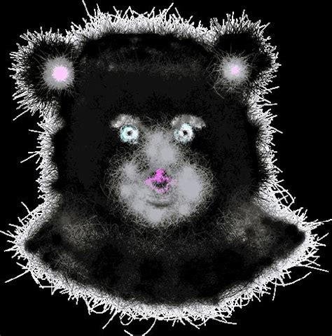 "Fuzzy Wuzzy " by ArtBee | Redbubble