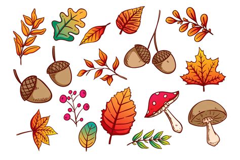 Hand Drawing Autumn Leaves Or Elements Graphic By Padmasanjaya