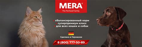 Немецкие корма для кошек и собак MERA | Профессиональный корм премиум и ...