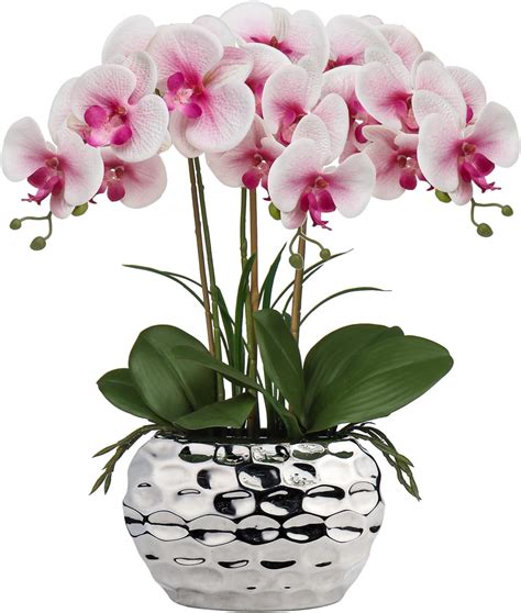 Amazon de wohnfuehlidee Kunstpflanze Orchidee Phalenopsis weiß mit