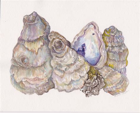 Oysters Watercolor Painting Original X Oyster Shells Painting