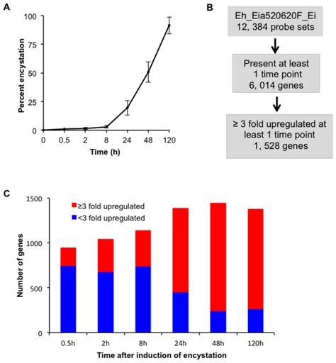 Overview Of Transcriptomic Analysis A Kinetics Of Differentiation Download Scientific