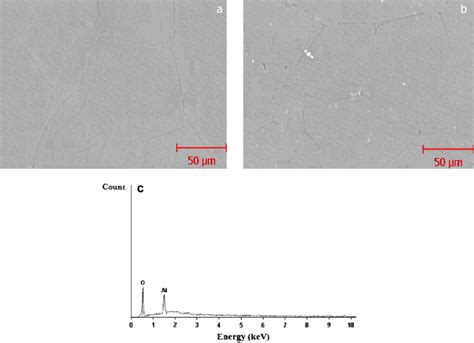 Sem Micrograph Of A Pure Aluminum B Alal O Composite And C Eds