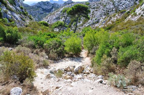 Chemin D Acc S La Calanque De Sormiou Depuis Les Baumettes