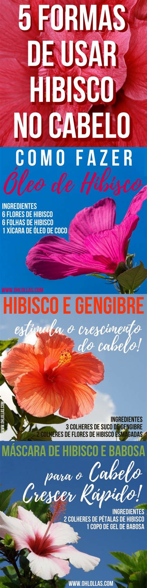 5 Formas De Usar Hibisco Para Acelerar O Crescimento Do Cabelo