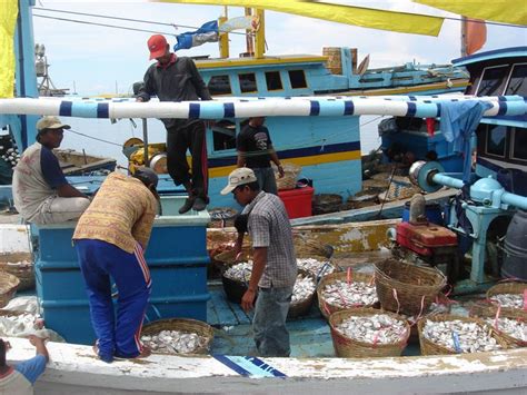 Coretan Sang Pemimpi Penyuluh Perikanan Penanganan Ikan Di Kapal