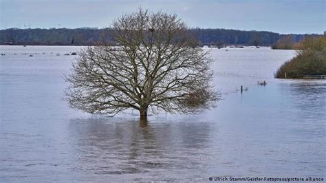 How flooding affects the environment