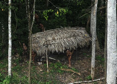 Amazon Jungle People