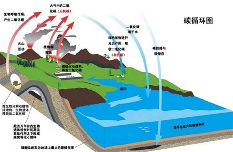 土壤固碳——拯救全球变暖 中国科学院