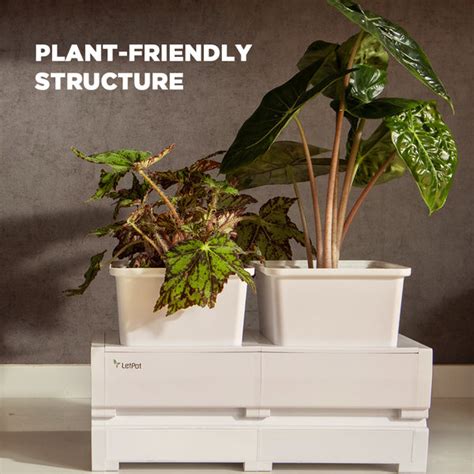 Smart Garden Planter 2 Unit Pot｜letpot™ Letpots Garden