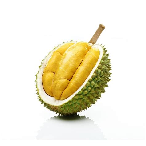 Musang King Durian