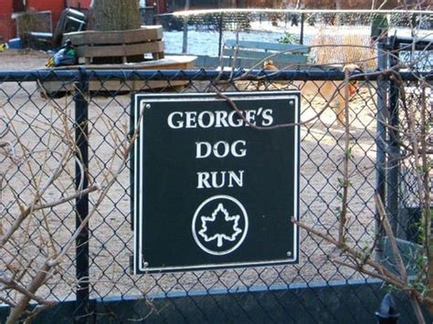 Georges Dog Run Updated January 2025 51 Washington Square S New