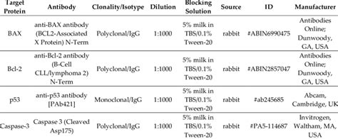 Antibodies used in the Western blot analysis. | Download Scientific Diagram