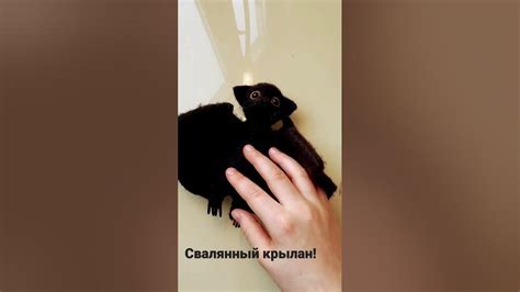 Летучая машь - YouTube