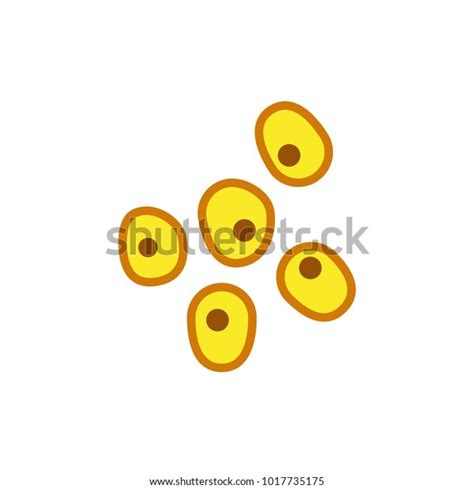 Dry Millet Vector Illustration Stock Vector Royalty Free