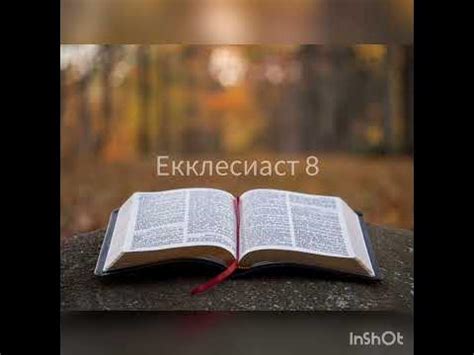 Екклесиаст 8 - YouTube
