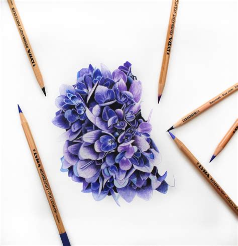 Colored Pencil Hydrangea Tutorial with Jennifer Morrison - Strathmore ...