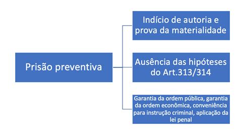 Prisão Provisória - Prisão Provisória - Caderno da Tata