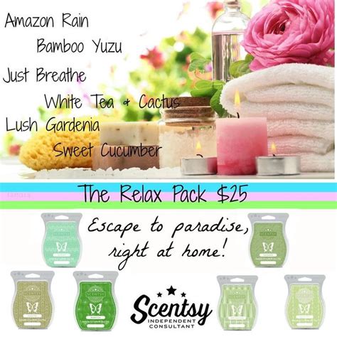 The Scentsy Relax Fragrance Pack Amazon Rain Bamboo Yuzu Just Breathe White Tea And Cactus