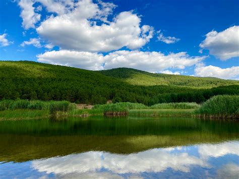 Scenic View Of Lake In Forest · Free Stock Photo