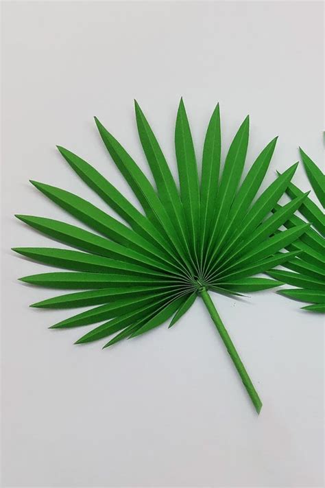 Diy Fan Palm Leaves Paper Leaves Paper Leaves Making Paper Leaf