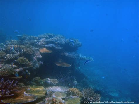 Snorkeling in Fiji along the coral reefs | HI Travel Tales