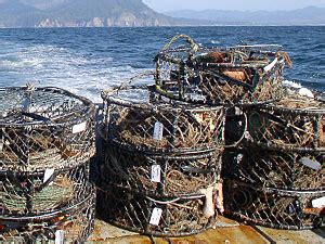 Oregons Commercial Crab Fishery Opens December 1