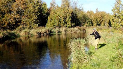 Concern For The West Credit River Caffeinated Fly FisherCaffeinated