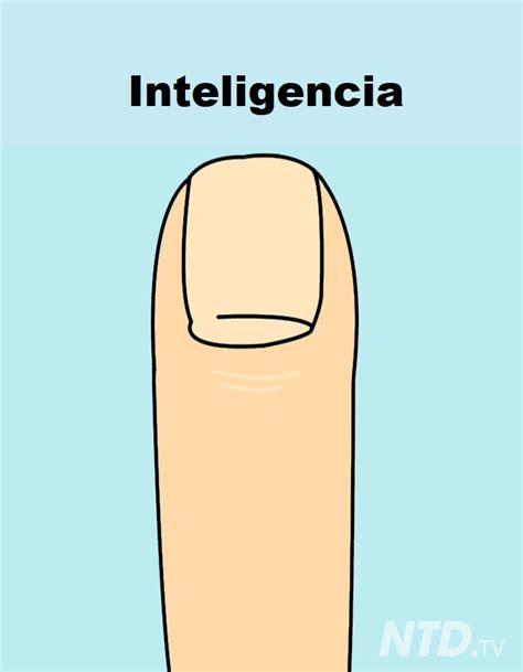 La forma de tus uñas revela algo interesante sobre tu personalidad