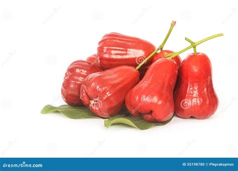 Bell Fruit Syzygium Aqueum Also Known As Water Apple Royalty Free